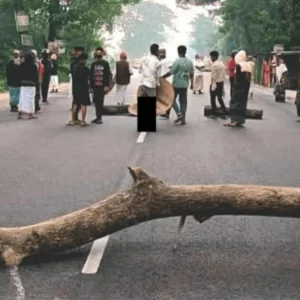 ফরিদপুরে রাস্তায় গাছ ফেলে মহাসড়ক অবরোধ
