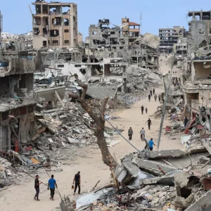 গাজার ৯০ শতাংশ গাছপালা ধ্বংস করেছে ইসরায়েল: খান ইউনিসের মেয়র