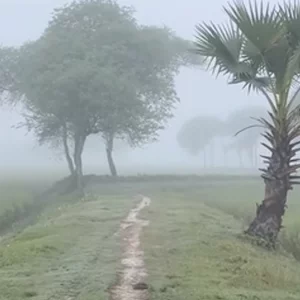 পঞ্চগড়ে তাপমাত্রা ১৩.৪ ডিগ্রি, শৈত্যপ্রবাহের আভাস