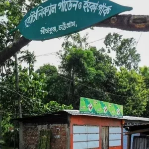 গলাকাটা অবস্থায় জঙ্গলে হাঁটছিল শিশুটি, কথা বলার শক্তিও ছিল না