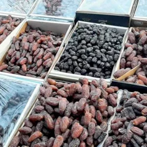 রংপুরের ৮ উপজেলা সৌদি খেজুর পেলেও বরাদ্দ পায়নি সিটি করপোরেশনের হতদরিদ্ররা