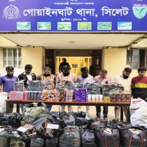 ভারতীয় বিপুল পরিমাণ কসমেটিকস-শাড়িসহ আটক ৮