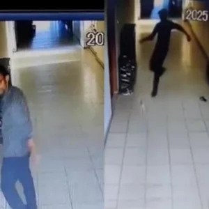 মোহাম্মদপুরে ‘নিষ্ঠুরভাবে’ বিড়াল হত্যা মামলায় আকবরের ছয় মাসের কারাদণ্ড