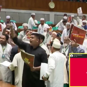 সংসদে ওয়াক আউটের পর হাসনাত আবদুল্লাহর তিন শব্দের ফেসবুক পোস্ট