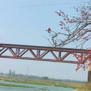 রেলসেতুতে ছবি তুলতে গিয়ে ট্রেনের ধাক্কায় প্রাণ গেল দুজনের