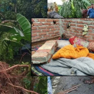 ঝড়ে উড়ে গেল বসতঘরের টিন, দেয়াল ধসে স্কুলছাত্রের মৃত্যু