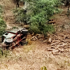 বান্দরবানে লাকড়িবোঝাই ট্রাক খাদে, চালকসহ নিহত ২