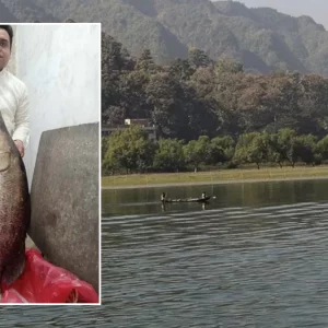 নাফ নদীতে বড়শিতে ধরা পড়লো ২২ কেজি ওজনের কোরাল