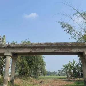 সেতু নয় যেন মরণ ফাঁদ!