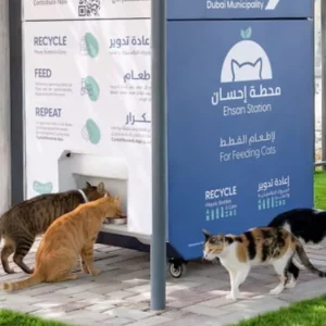 ইরান যুদ্ধের প্রভাবে দুবাইয়ে পরিত্যক্ত হচ্ছে হাজারো পোষা প্রাণী