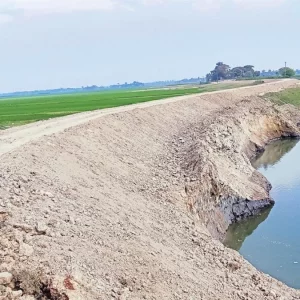 হাওর রক্ষা বাঁধে ফাটল, কৃষকরা উদ্বিগ্ন