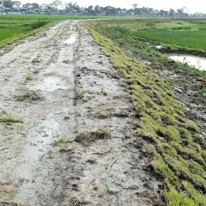 হাওরে বাঁধের কাজ শেষ হলেও মেলেনি টাকা, বিপাকে পিআইসি সদস্যরা