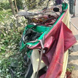 টাঙ্গাইলে বাসচাপায় অটোরিকশার তিন যাত্রী নিহত