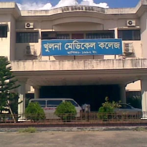 ৪০০ টাকার জন্য কৃষক দল নেতার ইটের আঘাত, চায়ের দোকানির মৃত্যু