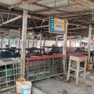 ‘পানি দিয়া ইফতার আর পান্তা দিয়া করি সেহেরি’