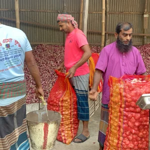 ১ মণ পেঁয়াজ বিক্রি করে মিলছে ১ কেজি গরুর মাংস
