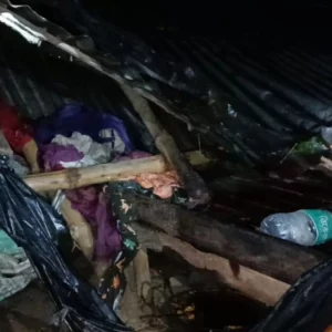 চুয়াডাঙ্গায় কালবৈশাখী ঝড়ে গাছের ডাল ভেঙে স্বামীর মৃত্যু, স্ত্রী আহত