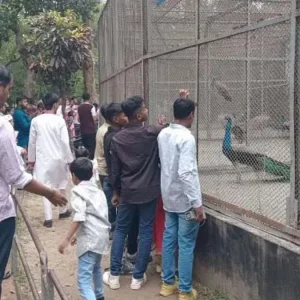 ঈদের দিনে চিড়িয়াখানায় উপচে পড়া ভিড়, বাঘ-সিংহ-বানরে মুগ্ধ দর্শনার্থীরা