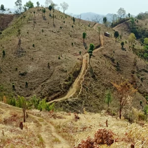 নিজেরাই রাস্তা বানালো রুমায় চার পাড়ার মানুষ