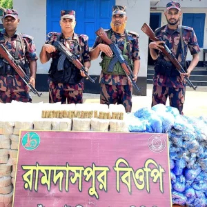 চাঁপাইনবাবগঞ্জে ২০ লাখ টাকার ভারতীয় বিড়ি ও কারেন্ট জাল আটক