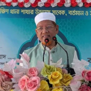 সাংবিধানিক স্বৈরাচারের চেষ্টা হলে রাজপথে নামবে জনগণ: হামিদুর রহমান আযাদ