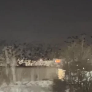 তেল আবিবের আকাশে উড়ছে হাজার হাজার কাক, ‘মহাপ্রলয়ের ইঙ্গিত’ ভাবনায় আতঙ্কে ইসরায়েলিরা