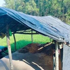 হত্যার পর মাটিচাপা, দুর্গন্ধের উৎস খুঁজতে গিয়ে ঝুপড়ির নিচে মিললো হাতির মরদেহ