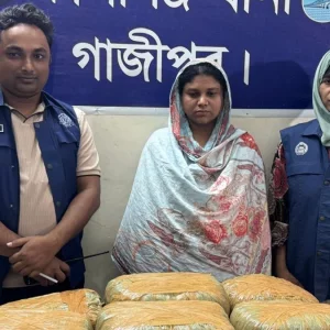 রান্নাঘরের মেঝের নিচে মিললো ২০ কেজি গাঁজা, গৃহবধূ আটক