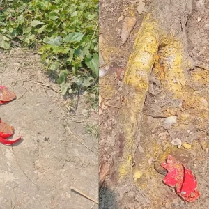 হঠাৎ মুহুর্মুহু হাতবোমা বিস্ফোরণে গ্রামজুড়ে আতঙ্ক 