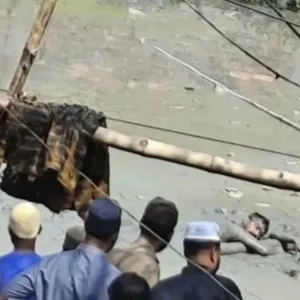 গ্রেপ্তার এড়াতে ডোবায় লাফ, ৫ ঘণ্টা কাদায় আটকা ছিনতাইকারী