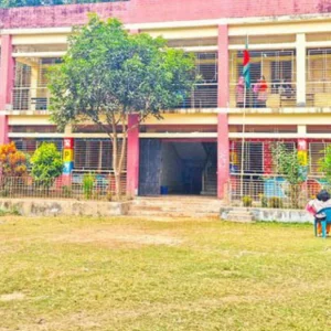 ‘গাড়িতে গ্যাস না থাকাসহ’ নানা কারণে ফিডিং কর্মসূচির খাবার পায়নি ৪০ স্কুলের শিক্ষার্থীরা