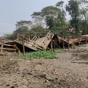 দুই বছর ধরে ব্রিজ ভেঙে খালে, ঝুঁকিতে পারাপার