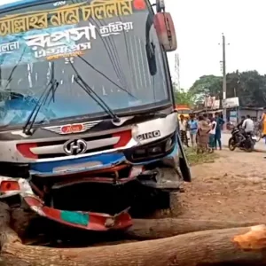 ঝিনাইদহে বাসের ধাক্কায় সাইকেল আরোহী নিহত, আহত ৫
