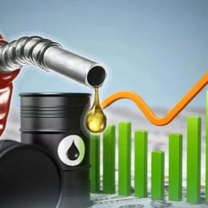 জ্বালানি তেলের দাম সমন্বয়ের প্রস্তাব ও ভর্তুকি চাহিদা পর্যালোচনা করছে সরকার