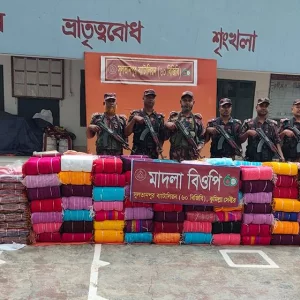 ব্রাহ্মণবাড়িয়ায় সাড়ে ৩ কোটি টাকার ভারতীয় শাড়ি ও চশমা জব্দ