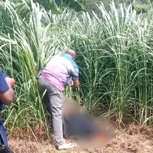 বাবার বাড়িতে বেড়াতে আসা গৃহবধূর মরদেহ মিললো ক্ষেতে 