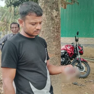 কোরবানির জন্য রাখা গরুর জিহ্বা কেটে ফেলেছে দুর্বৃত্তরা