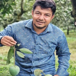 ইচ্ছাকৃত আমের অর্ডার দিয়ে হয়রানি করেছে জামায়াতের ভাইয়েরা: তারেক