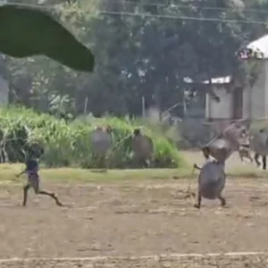 ফরিদপুরে দু’পক্ষের তুমুল সংঘর্ষে আহত ৮, বাড়িঘর ভাঙচুর