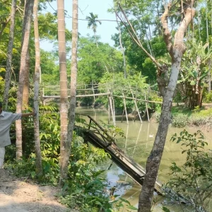 ১৯ বছরেও সংস্কার হয়নি সিডরে ক্ষতিগ্রস্ত ব্রিজের