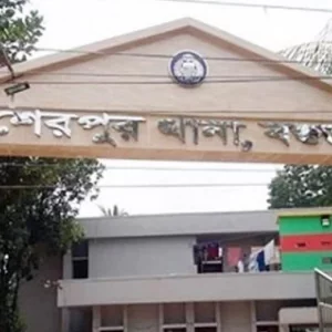 মাদক সেবনের টাকা পেয়ে বৃদ্ধ মাকে মারধর, ছেলের কারাদণ্ড