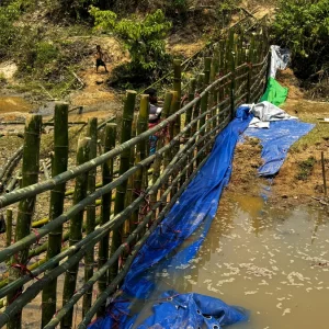 প্রাকৃতিক মৎস্য প্রজনন নদী হালদায় দেওয়া হলো বাঁধ, পরে উচ্ছেদ
