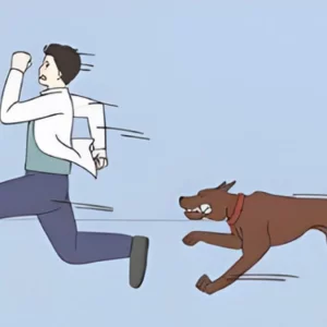 এক পাগলা কুকুরের কামড়েই অর্ধশত মানুষ হাসপাতালে