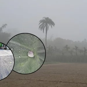 চুয়াডাঙ্গায় দাবদাহে গলছে সড়কের পিচ, একই দিনে কুড়িগ্রামে ঘনকুয়াশা