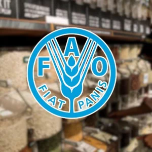 জ্বালানি ব্যয় বৃদ্ধির প্রভাবে মার্চে বৈশ্বিক খাদ্যমূল্য বেড়েছে ২ দশমিক ৪ শতাংশ