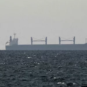 হরমুজ রক্ষায় সামরিক শক্তি প্রয়োগের প্রস্তাব বাহরাইনের, চীনের আপত্তি