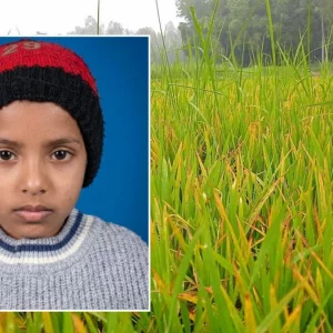 নিখোঁজের দু’দিন পর ধানক্ষেতে মিললো শিশুর মরদেহ, দুলাভাই আটক