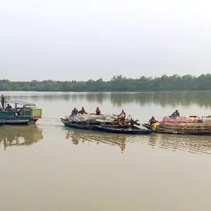 বনদস্যু আতঙ্কে সুন্দরবনে কমছে মৌয়াল, হুমকিতে মধু আহরণ