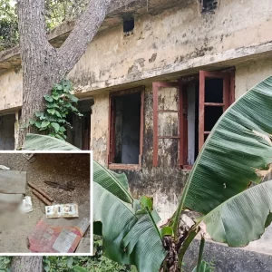 স্বাস্থ্য কমপ্লেক্সের পরিত্যক্ত কোয়ার্টারে মাদকের আখড়া, চলে অসামাজিক কর্মকাণ্ড