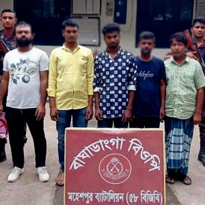 ঝিনাইদহের মহেশপুর সীমান্তে ভারতীয় নাগরিকসহ আটক ১১